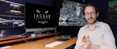 Imagen miniatura: Jaguar Voz De Un Territorio